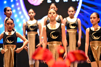 08 D FLAME ZONE JAZZ INFANTIL ELITE