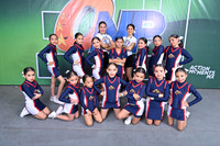 CHEER LIONS